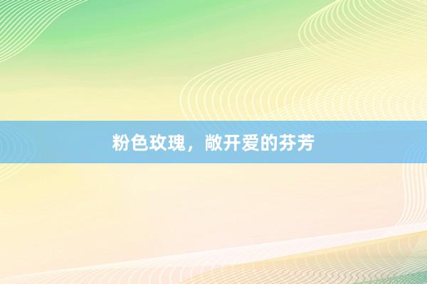 粉色玫瑰,敞开爱的芬芳